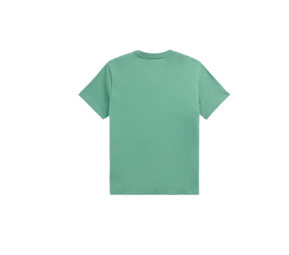 Camisa Ralph Lauren Urso Verde